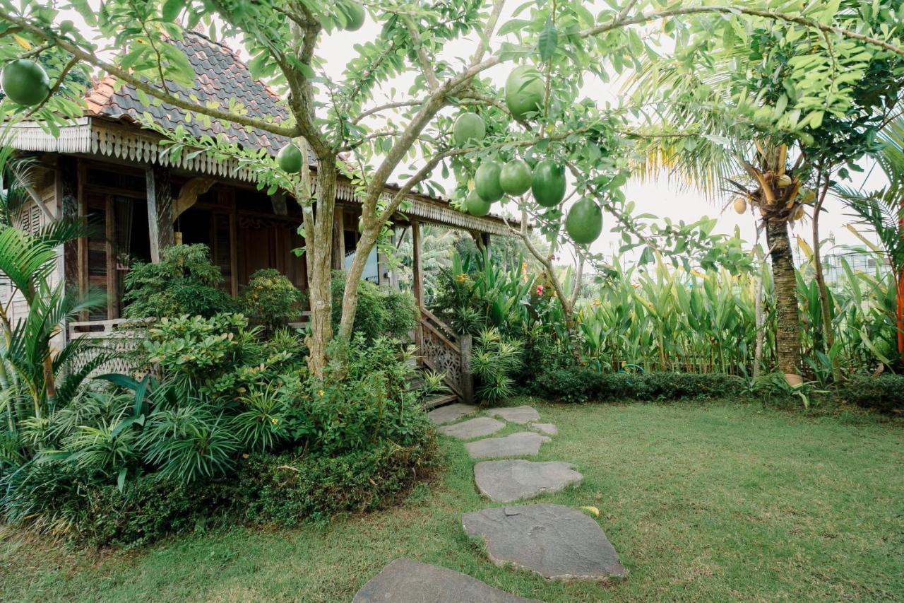 Nauna Villa Ubud Exterior foto